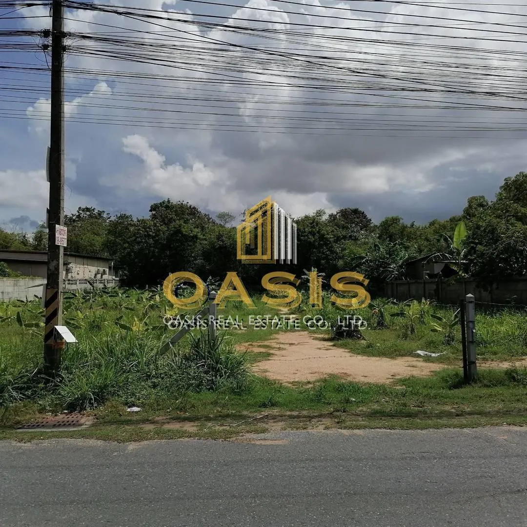 Land for Sale – Prime Location in Khao Talo
