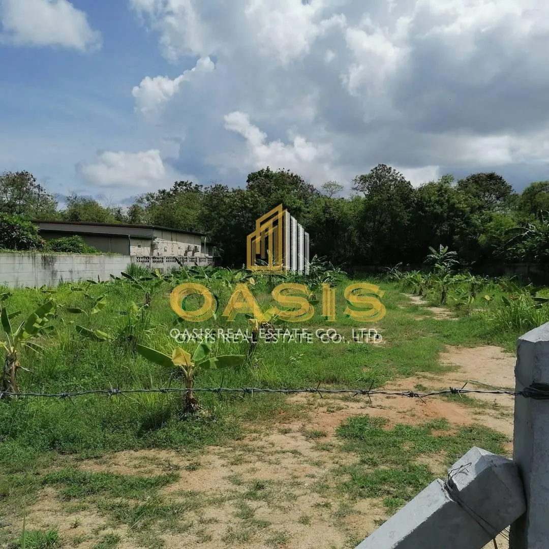Land for Sale – Prime Location in Khao Talo