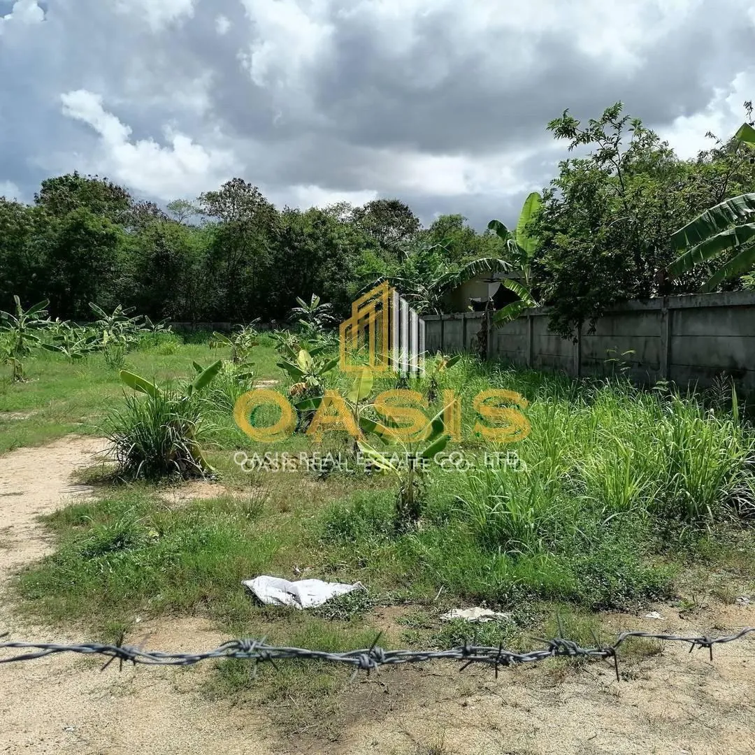 Land for Sale – Prime Location in Khao Talo