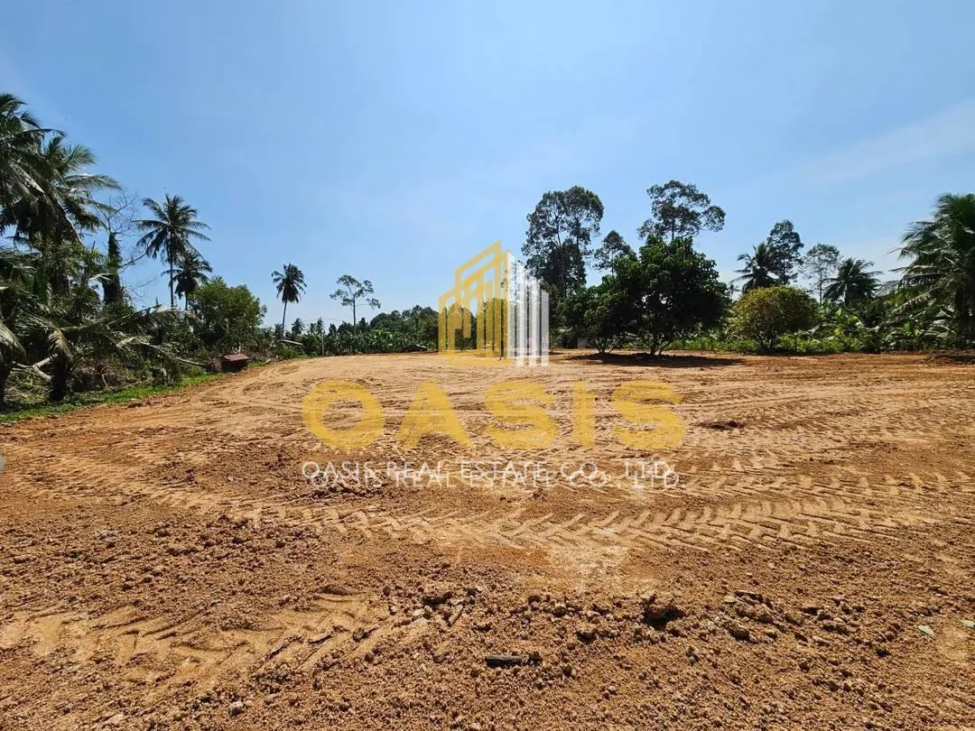 Beautiful Land for Sale in Huai Yai Jean, Huai Yai