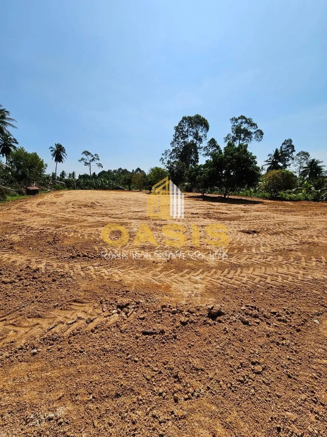 Beautiful Land for Sale in Huai Yai Jean, Huai Yai