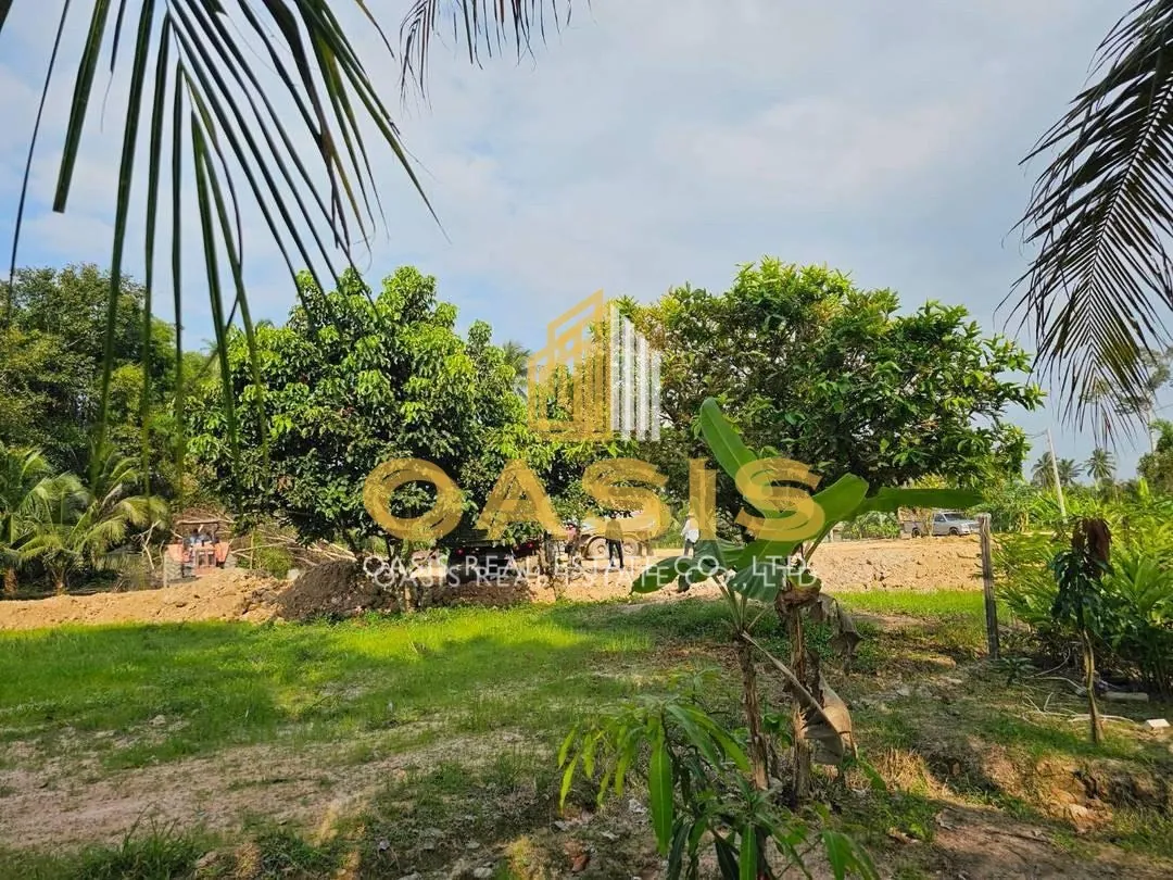 Beautiful Land for Sale in Huai Yai Jean, Huai Yai