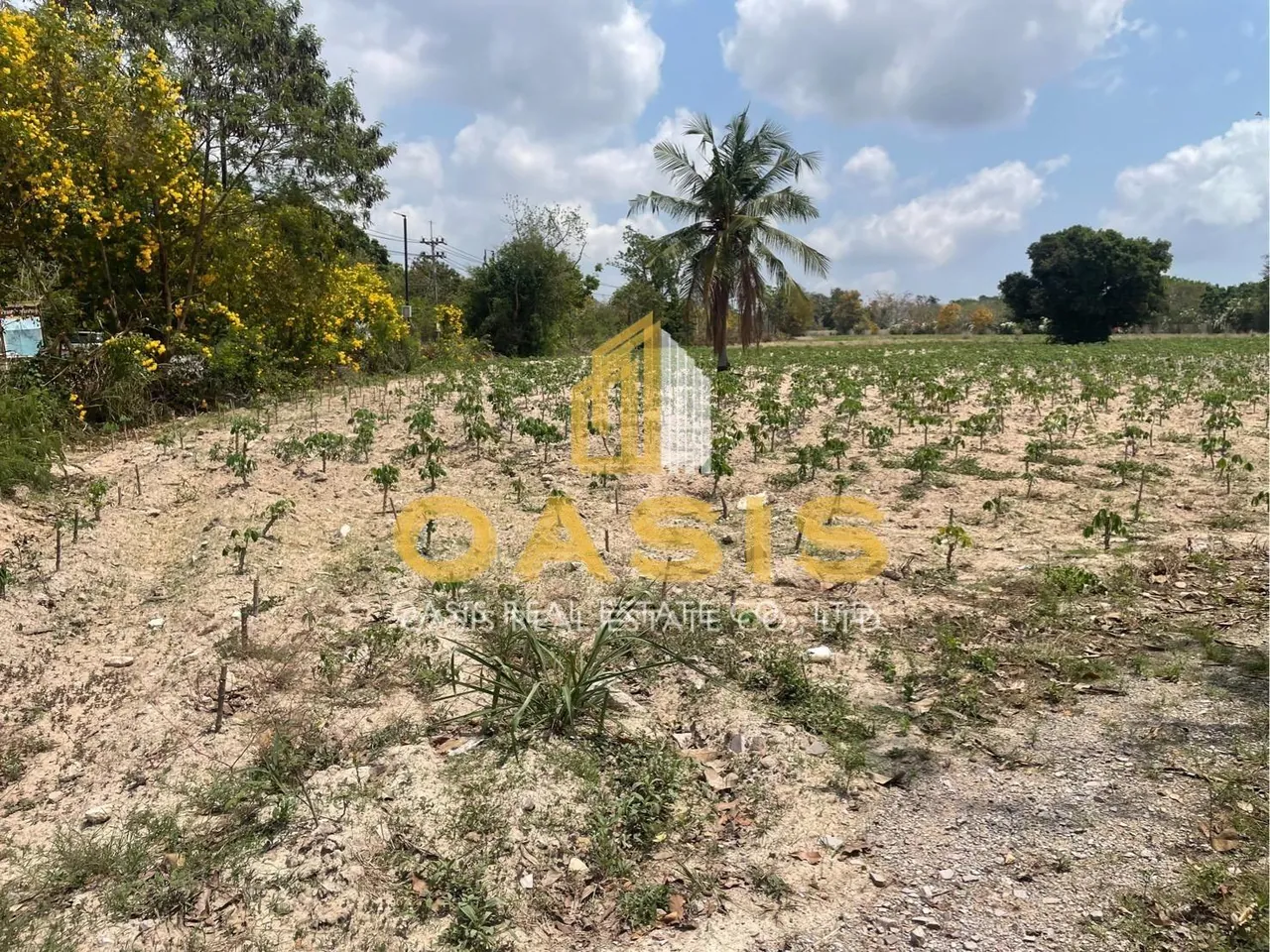 Discover this prime land plot located in Soi Rong Faifa – Bang Saray