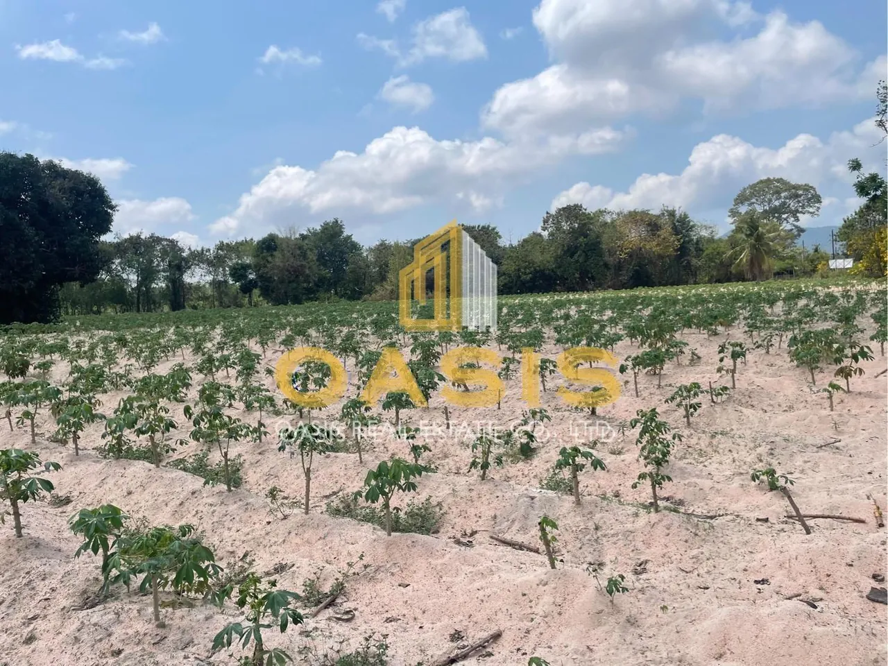Discover this prime land plot located in Soi Rong Faifa – Bang Saray