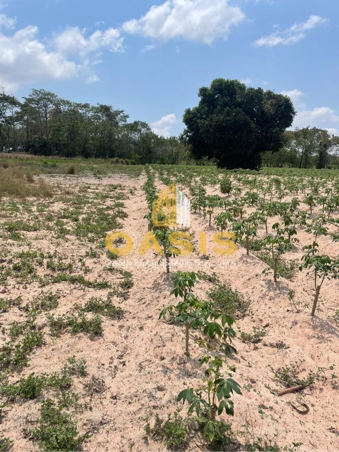 Discover this prime land plot located in Soi Rong Faifa – Bang Saray