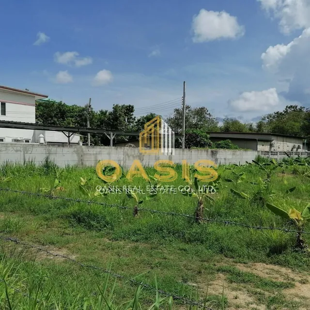 Land for Sale – Prime Location in Khao Talo