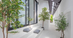 A luxurious stylish villa fully renovated and fully furnished for sale