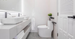 A luxurious stylish villa fully renovated and fully furnished for sale