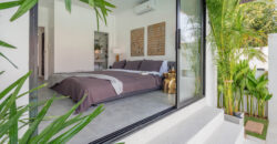 A luxurious stylish villa fully renovated and fully furnished for sale