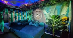 Special price, beautiful penthouse with unique style