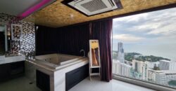 Special price, beautiful penthouse with unique style