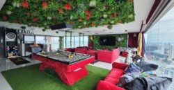 Special price, beautiful penthouse with unique style