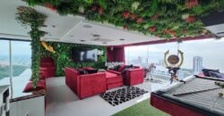 Special price, beautiful penthouse with unique style