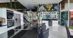 Special price, beautiful penthouse with unique style