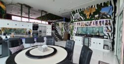 Special price, beautiful penthouse with unique style