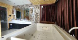 Special price, beautiful penthouse with unique style