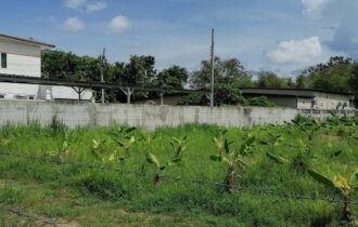 Land for Sale – Prime Location in Khao Talo