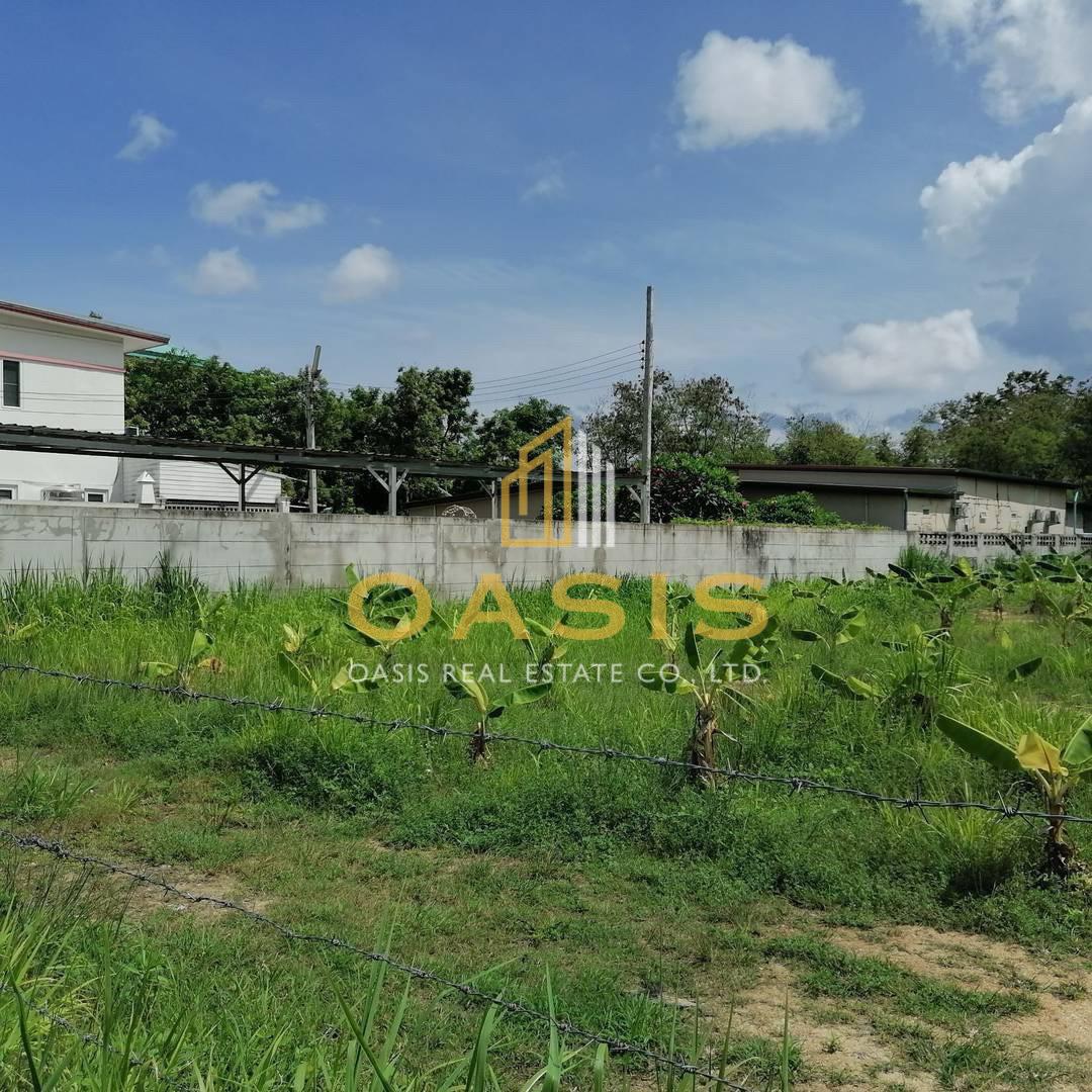 Land for Sale – Prime Location in Khao Talo