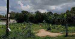Land for Sale – Prime Location in Khao Talo