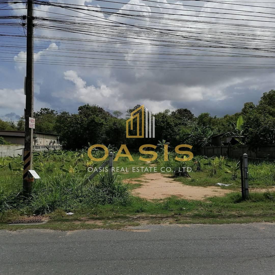 Land for Sale – Prime Location in Khao Talo