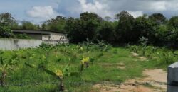 Land for Sale – Prime Location in Khao Talo