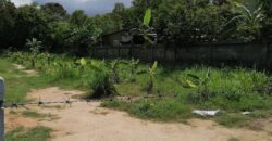 Land for Sale – Prime Location in Khao Talo
