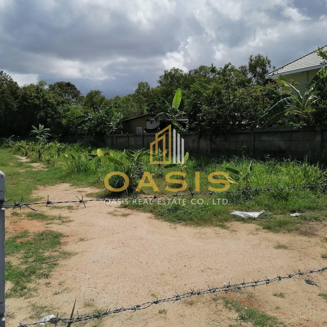 Land for Sale – Prime Location in Khao Talo