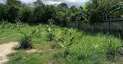 Land for Sale – Prime Location in Khao Talo