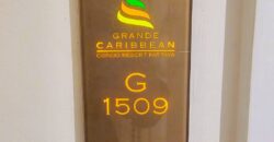 Grande Caribbean condo and water park for sale