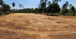 Beautiful Land for Sale in Huai Yai Jean, Huai Yai