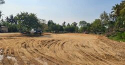 Beautiful Land for Sale in Huai Yai Jean, Huai Yai