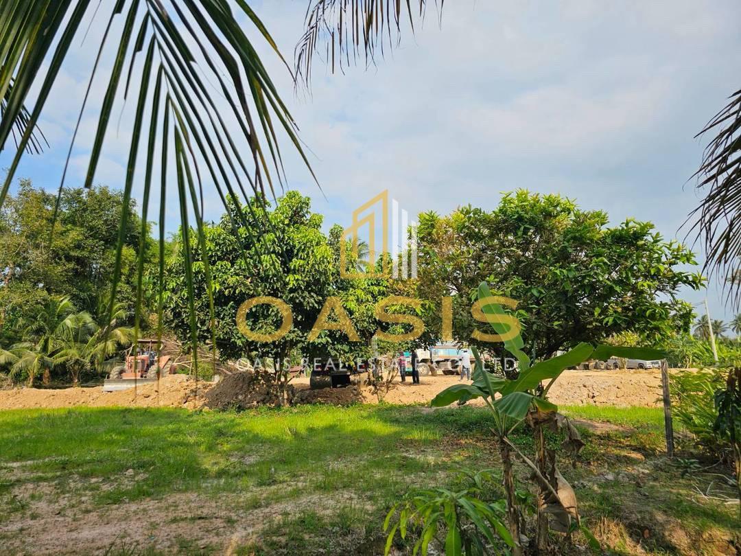 Beautiful Land for Sale in Huai Yai Jean, Huai Yai