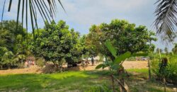 Beautiful Land for Sale in Huai Yai Jean, Huai Yai