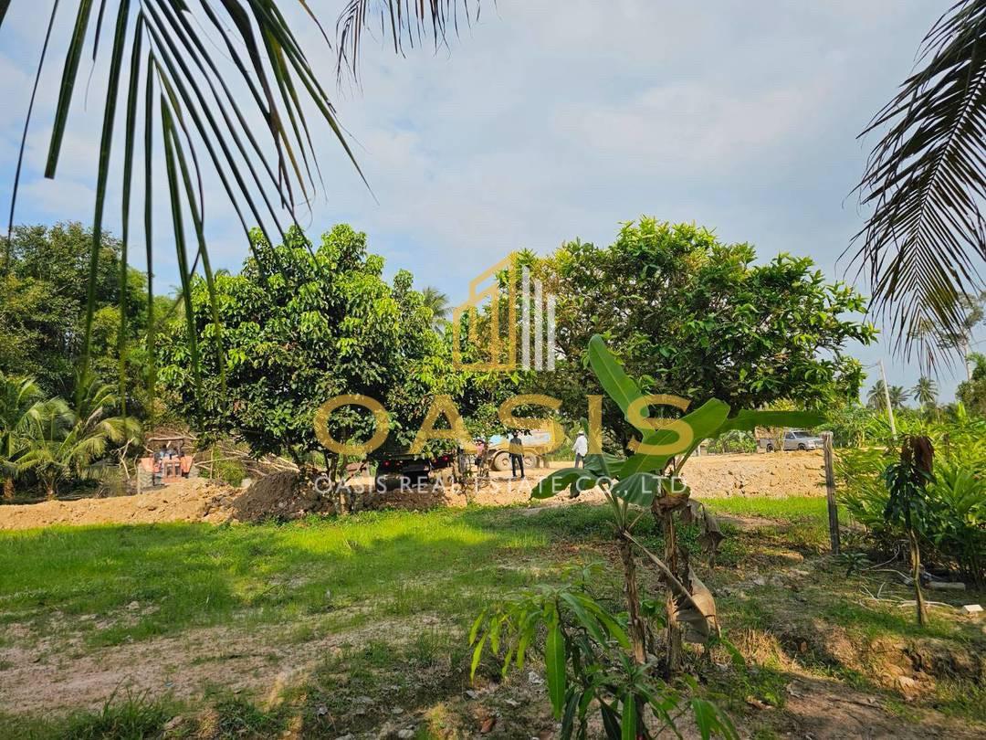 Beautiful Land for Sale in Huai Yai Jean, Huai Yai