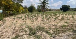 Discover this prime land plot located in Soi Rong Faifa – Bang Saray