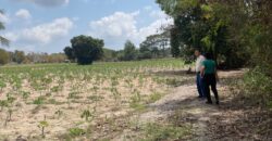 Discover this prime land plot located in Soi Rong Faifa – Bang Saray