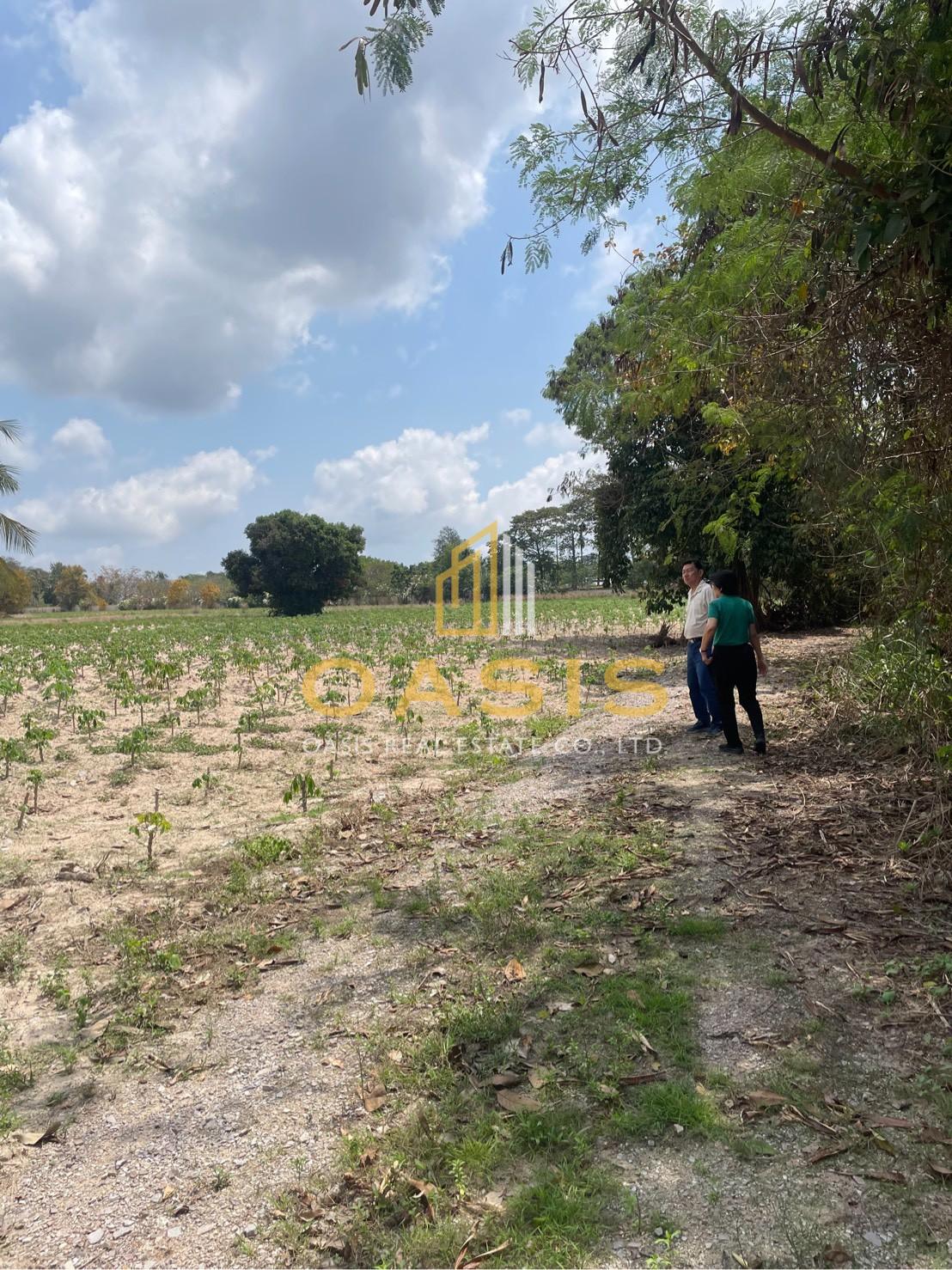 Discover this prime land plot located in Soi Rong Faifa – Bang Saray