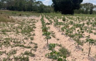 Discover this prime land plot located in Soi Rong Faifa – Bang Saray