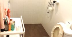 House for Rent – Nirvana Icon Wongwaen Rama 9