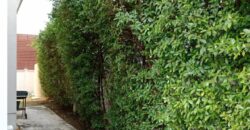 Centro Ramintra–Chatuchot  for Rent