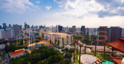 Luxury Penthouse – Grand Diamond Penthouse for Sale