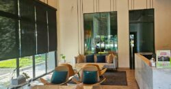 Black & Wood Residence – Modern Luxury Classic Masterpiece for Sale