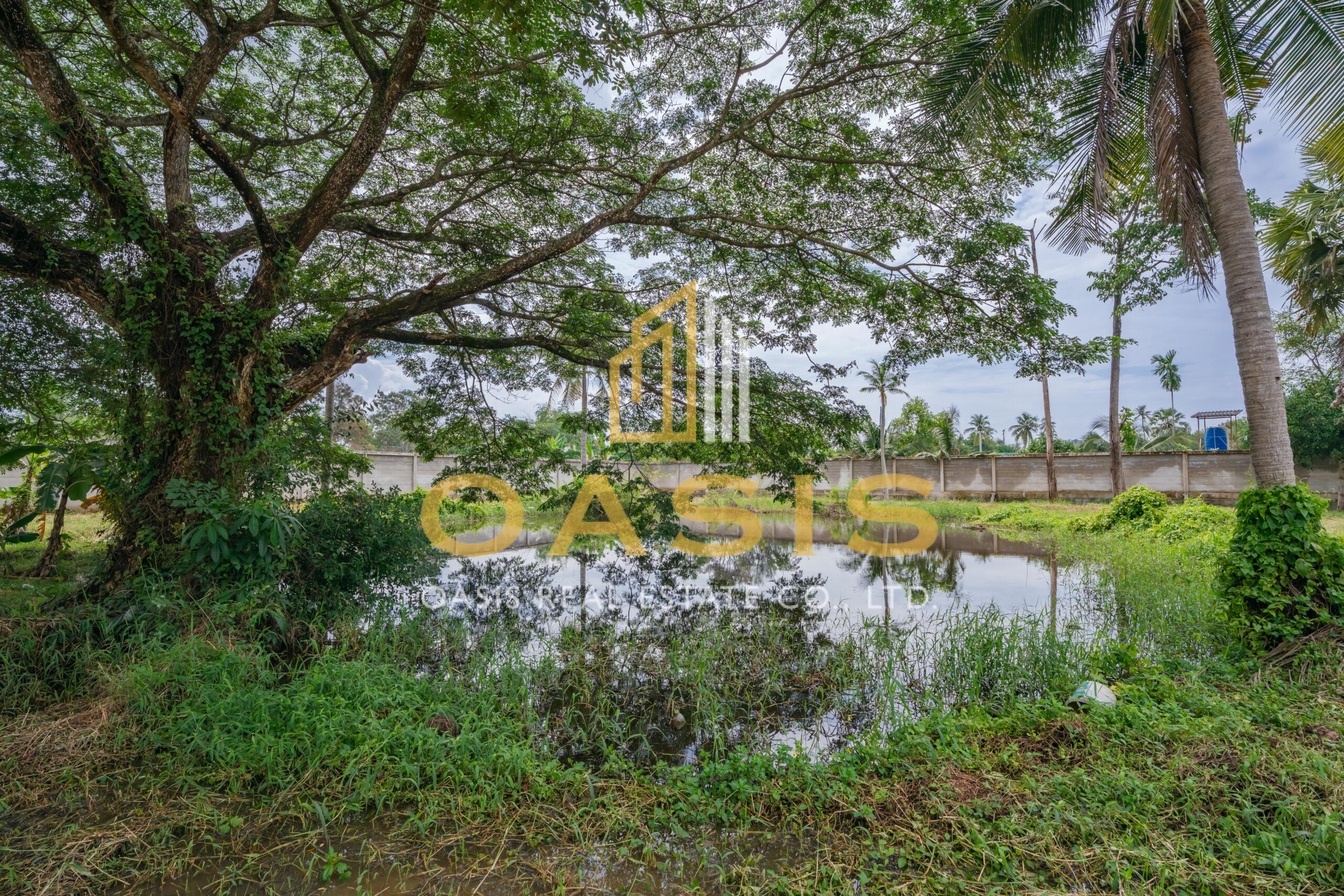 Magnificent Property with Private Pond and Mature Trees For Sale